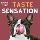 Tasty Venison Bites - Small Dog Treats of Chewy Deli-licious 100g